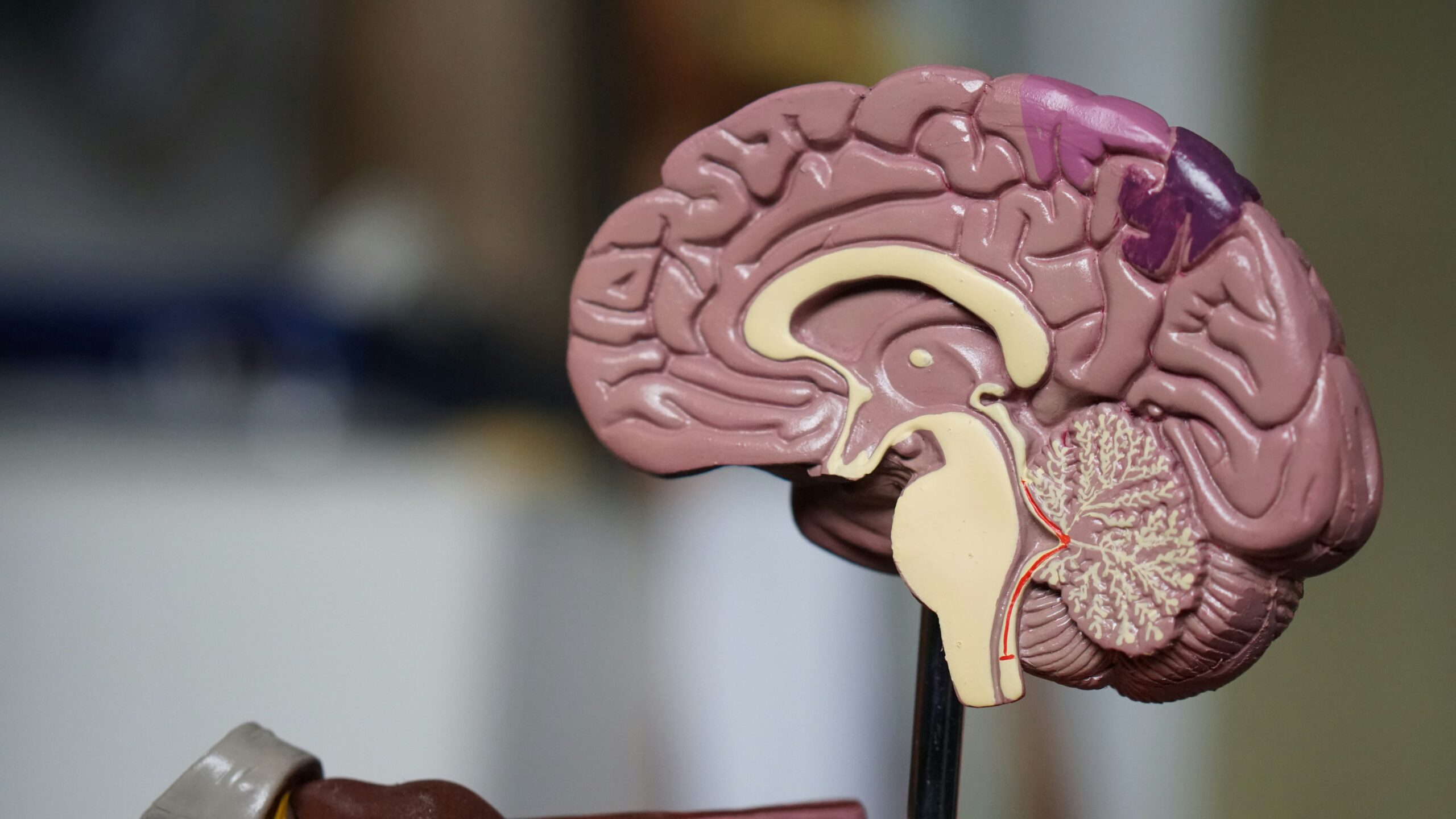 Brain Tumours Treatment Singapore