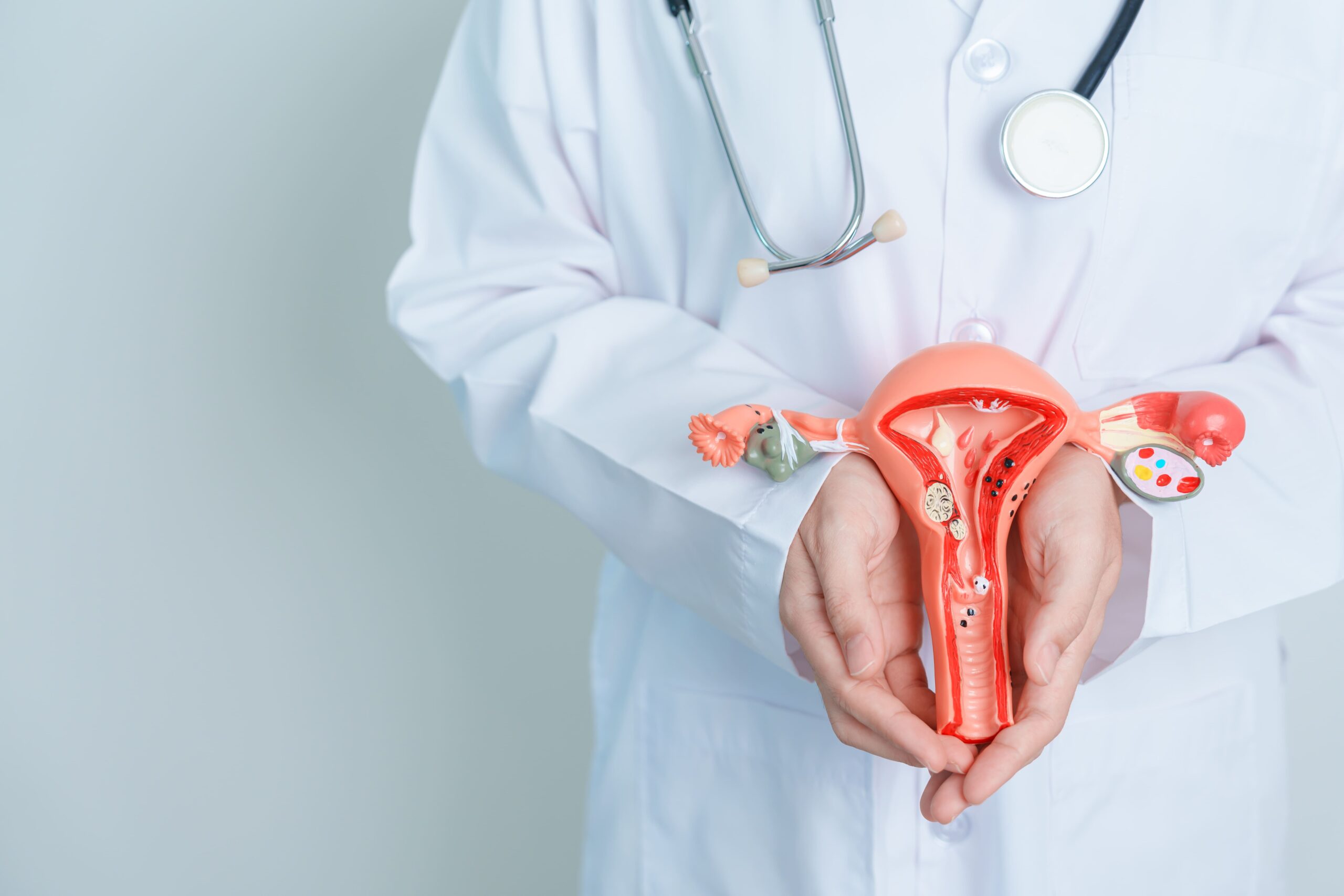 Image Obstetrics & Gynaecology Department