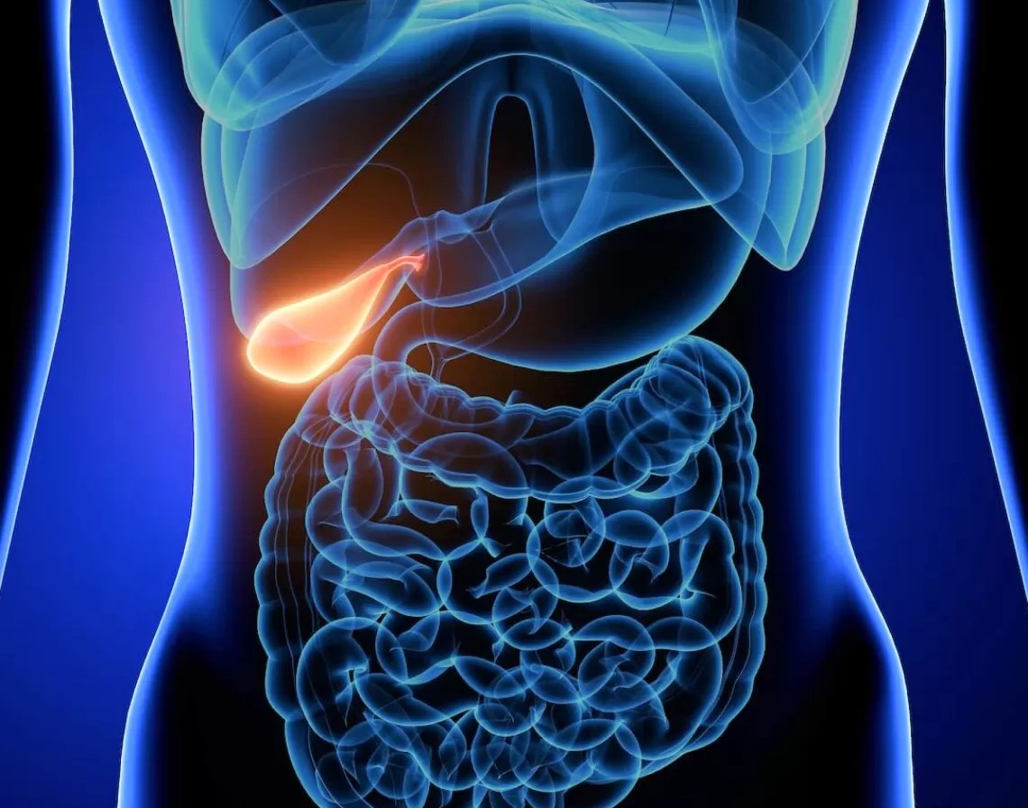 Laparoscopic Gallbladder Removal in Singapore