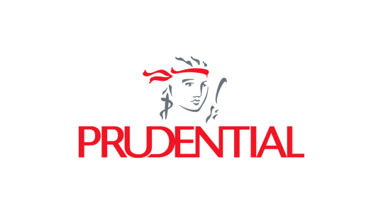 Image AHS Insurance Pruu 4 w alpha