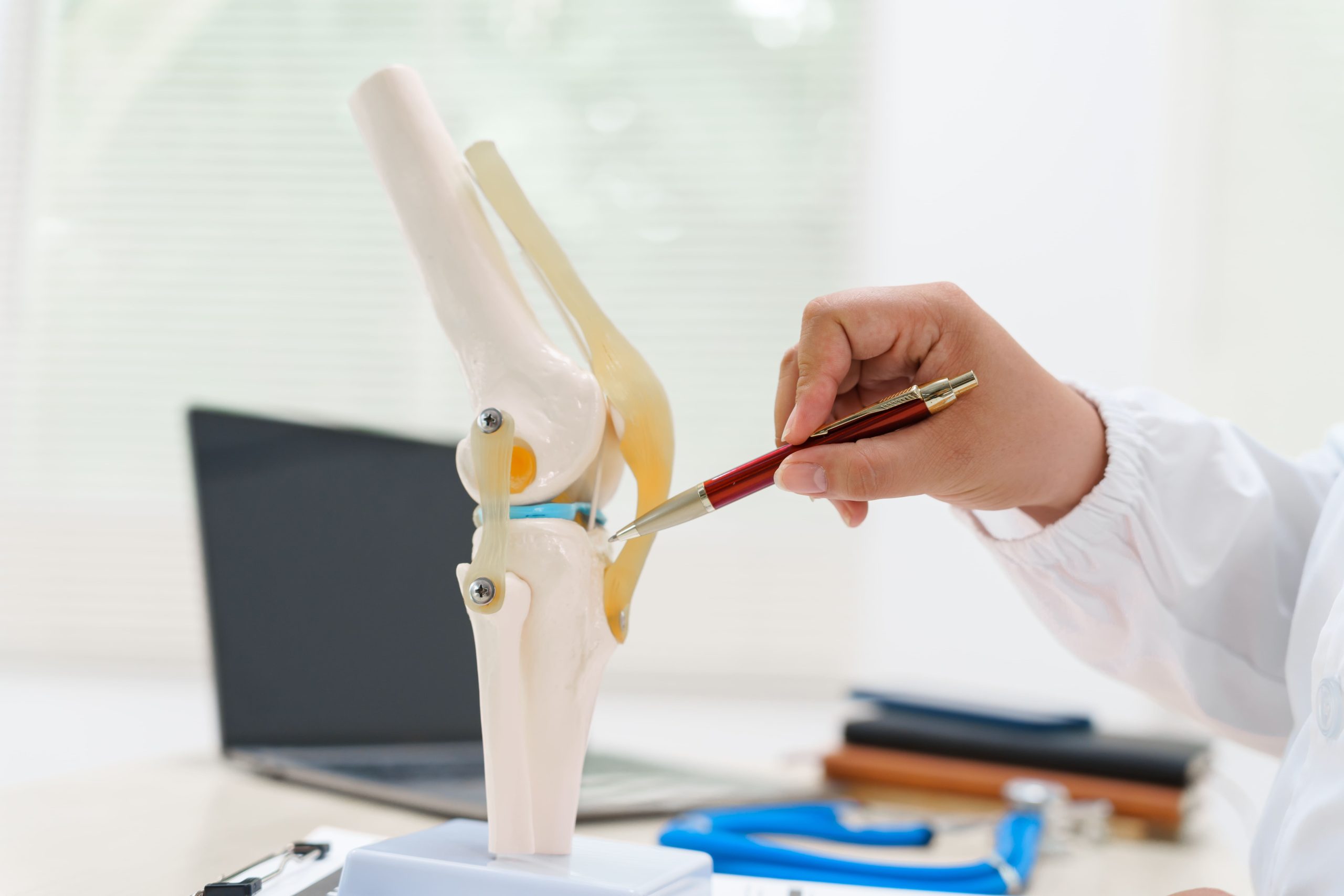 Image doctor showing knee joint model for education 2026 03 19 22 53 33 utc (2) (1)
