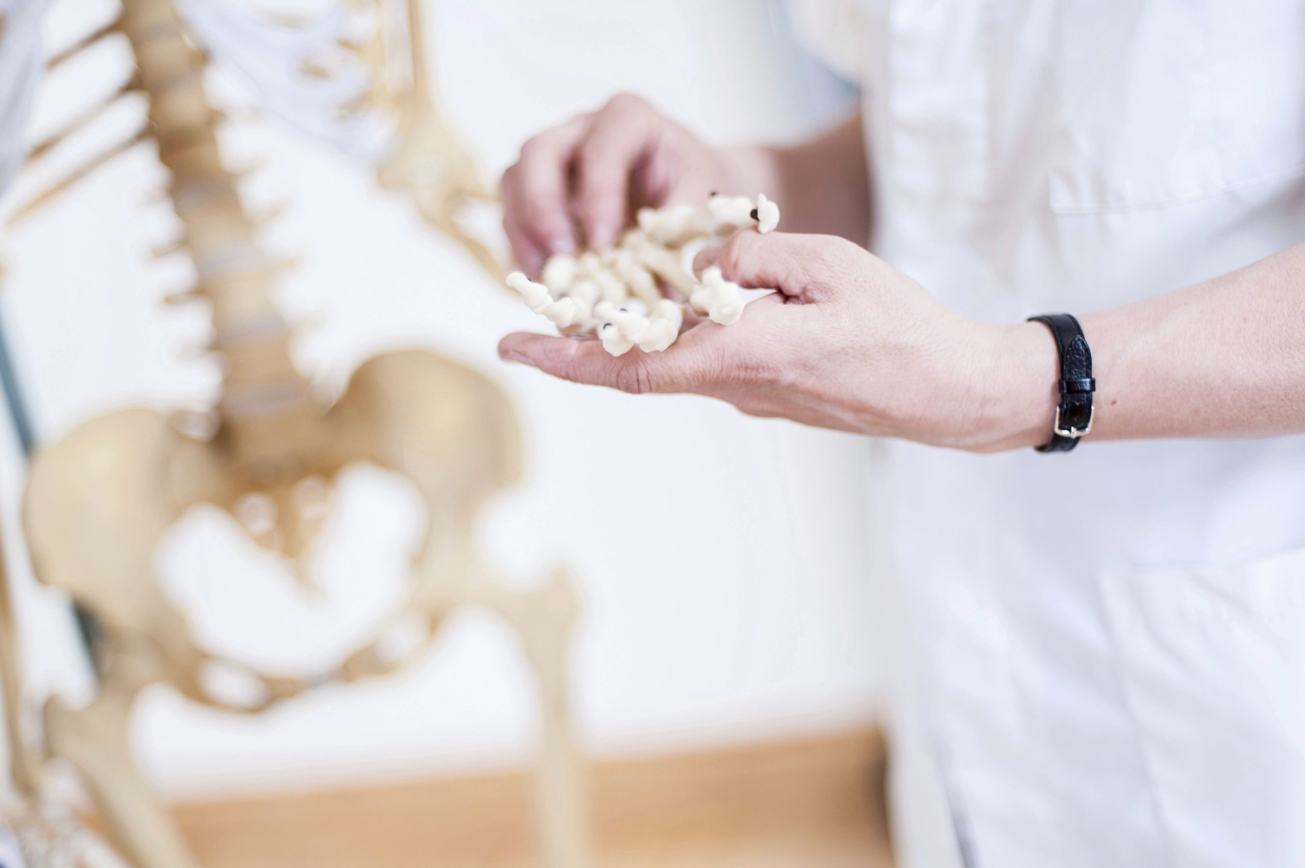Image healthcare professional holding skeleton hand bone 2026 03 25 03 16 56 utc (1)